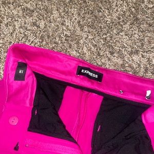 Express Berry Dress Pants